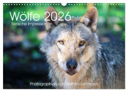 Cover-Bild zum Titel 'Wölfe 2026. Tierische Impressionen (Wandkalender 2026 DIN A3 quer), CALVENDO Monatskalender' von 'Steffani Lehmann'