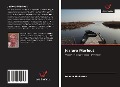 Cover-Bild zum Titel 'Jezioro Mariout' von 'Osama Moharem'