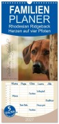 Cover-Bild zum Titel 'Familienplaner 2027 - Rhodesian Ridgeback - Herzen auf vier Pfoten mit 5 Spalten (Wandkalender, 21 x 45 cm) CALVENDO' von 'Sabrina Mischnik'