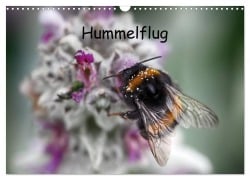 Cover-Bild zum Titel 'Hummelflug (Wandkalender 2026 DIN A3 quer), CALVENDO Monatskalender' von 'Klaudia Kretschmann'