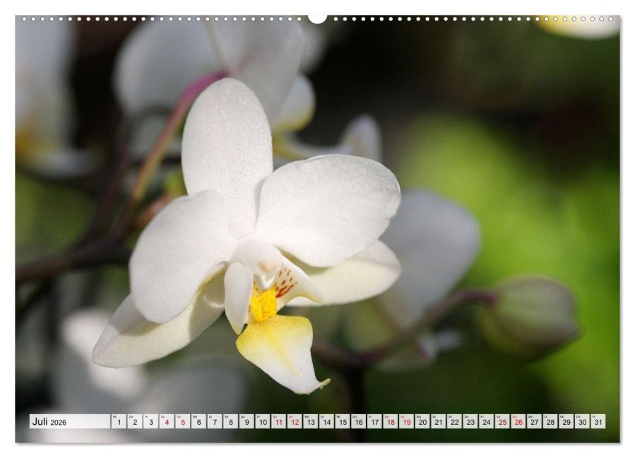 InsideView 12