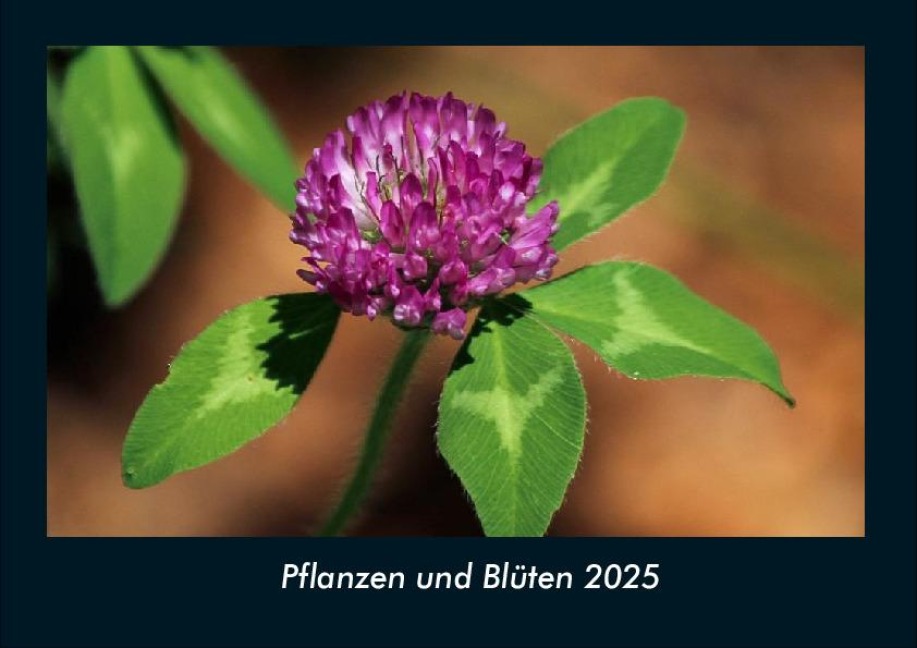 Pflanzen und Blüten 2025 Fotokalender DIN A4 - Tobias Becker