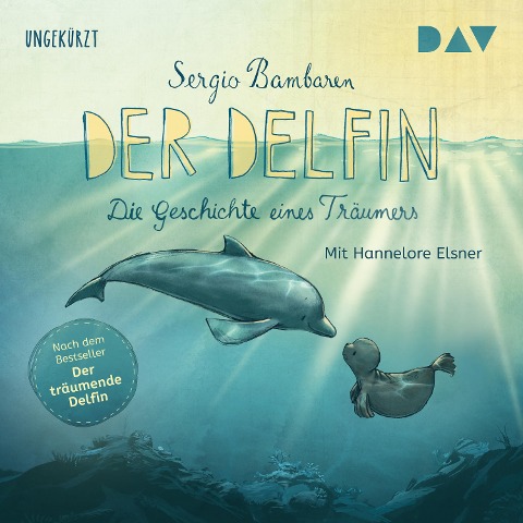 Der Delfin ¿ Die Geschichte eines Träumers - Sergio Bambaren