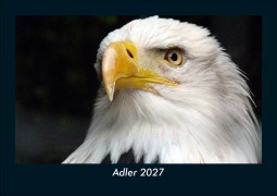 Cover-Bild zum Titel 'Adler 2027 Fotokalender DIN A5' von 'Tobias Schmitt, Kevin Heber'