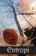 Cover-Bild zum Titel 'Entropi' von 'Serkan Yilmazkurt'