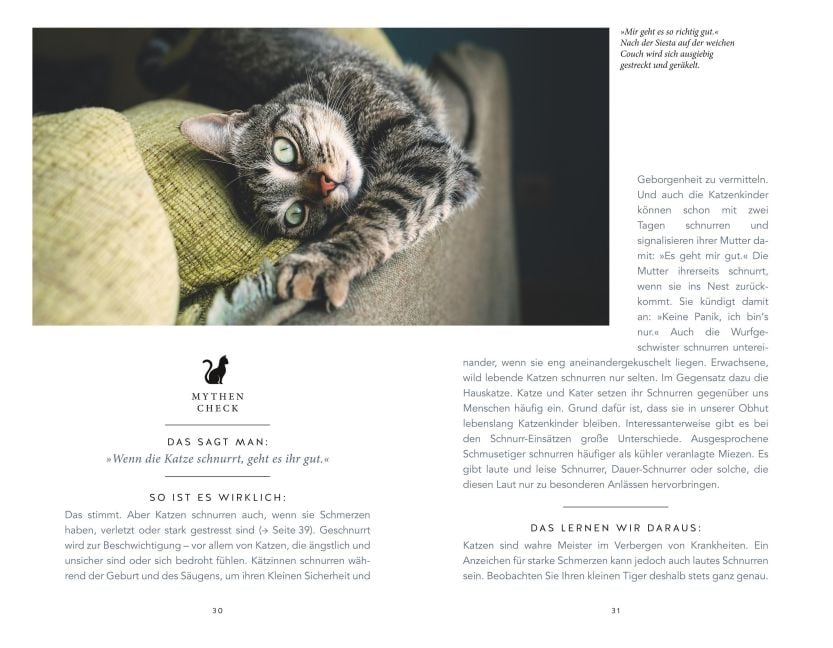 InsideView 7