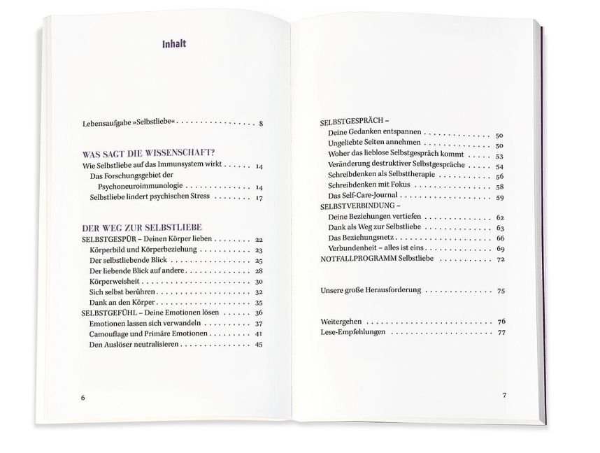 InsideView 2