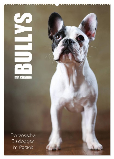 Bullys mit Charme - Französische Bulldoggen im Portrait (Wandkalender 2025 DIN A2 hoch), CALVENDO Monatskalender - Jana Behr