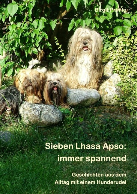 Sieben Lhasa Apso: immer spannend - Birgit Primig