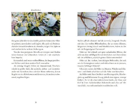 InsideView 2