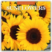 Sunflowers - Sonnenblumen 2026 - 16-Monatskalender - Robin Red