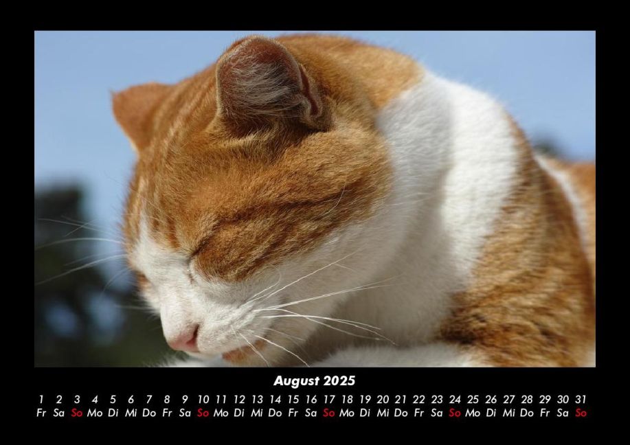 InsideView 12