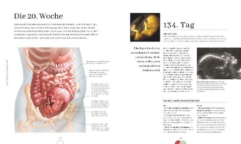 InsideView 6