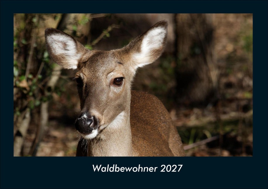 Waldbewohner 2027 Fotokalender DIN A4 - Tobias Schmitt, Kevin Heber