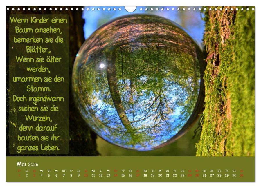 InsideView 10