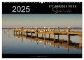 Steinhuder Meer - Steinhude (Wandkalender 2025 DIN A2 quer), CALVENDO Monatskalender - Peter Roder