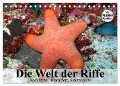 Die Welt der Riffe. Seesterne, Korallen, Anemonen (Tischkalender 2025 DIN A5 quer), CALVENDO Monatskalender - Elisabeth Stanzer