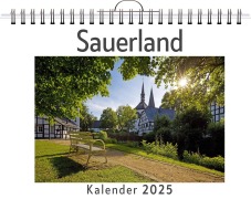 Cover-Bild zum Titel 'Sauerland' von 'Aaron Scholz'