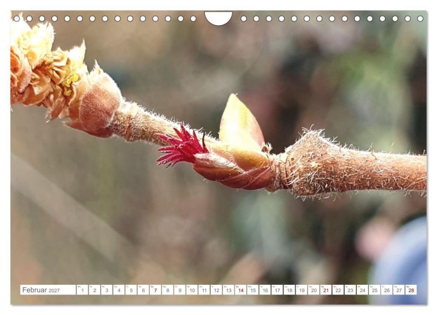 InsideView 7