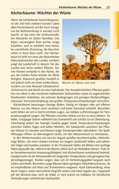 InsideView 29