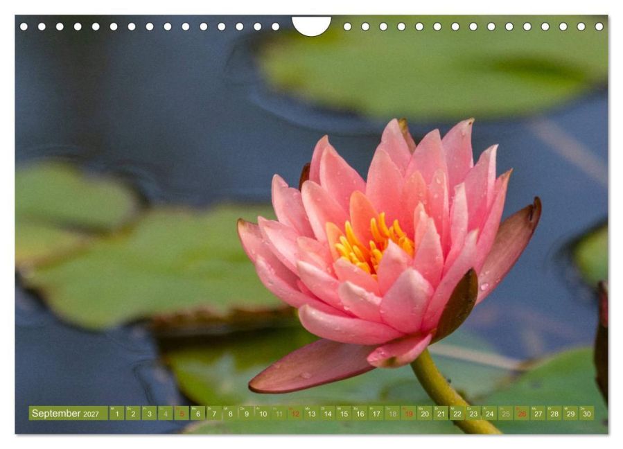 InsideView 14