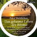 Cover-Bild zum Titel 'Das geheime Leben der Bäume' von 'Peter Wohlleben'