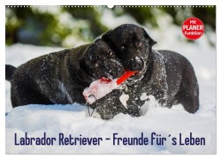 Cover-Bild zum Titel 'Labrador Retriever - Freunde für¿s Leben (Wandkalender 2026 DIN A2 quer), CALVENDO Monatskalender' von 'Sigrid Starick'