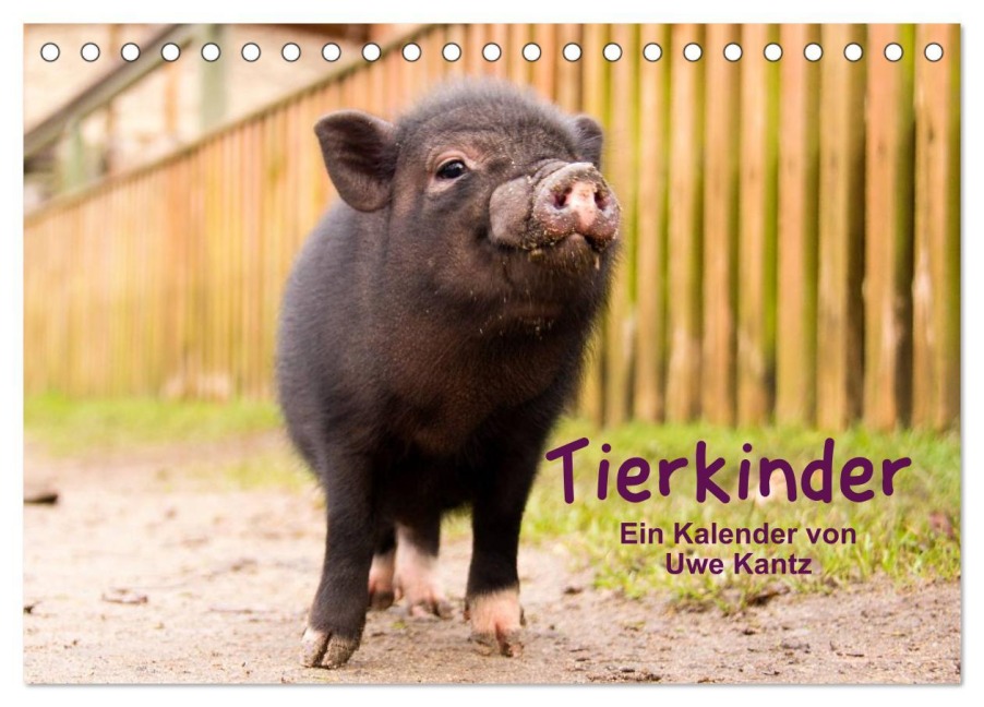 Tierkinder (Tischkalender 2026 DIN A5 quer), CALVENDO Monatskalender - Uwe Kantz
