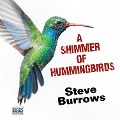 Cover-Bild zum Titel 'Shimmer of Hummingbirds, A' von 'Steve Burrows'