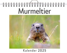 Cover-Bild zum Titel 'Murmeltier' von 'Alice Meyer'