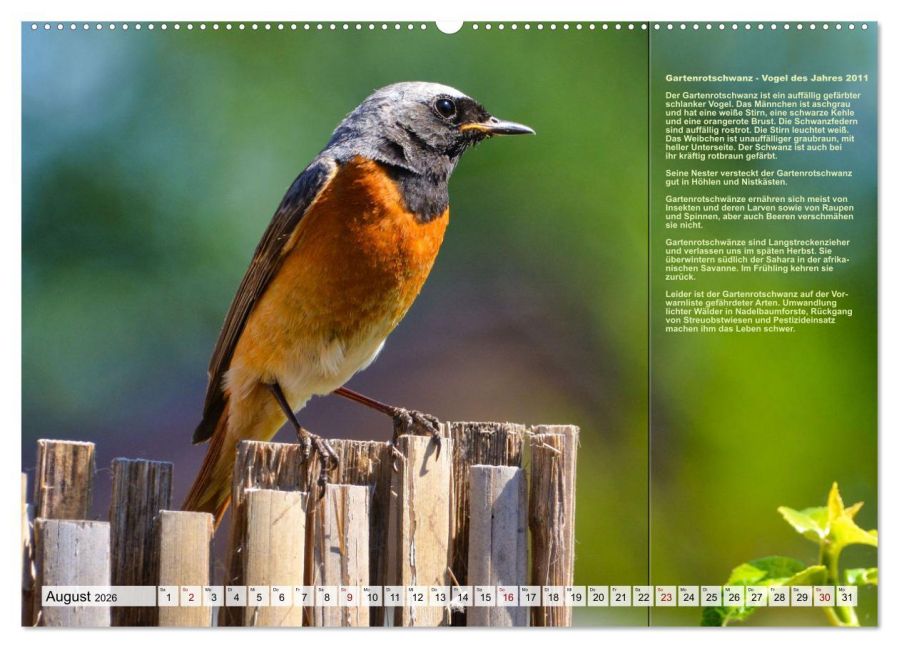 InsideView 12
