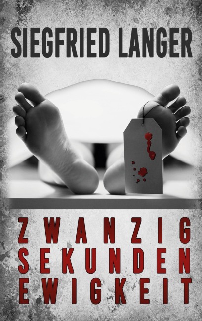 Zwanzig Sekunden Ewigkeit - Siegfried Langer
