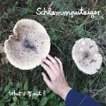 Cover-Bild zum Titel 'What's Fruit' von 'Schlammpeitziger'