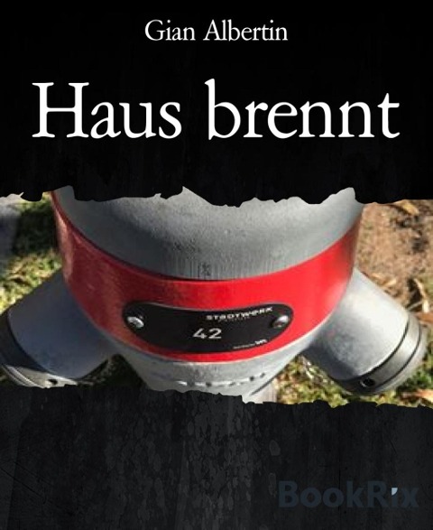 Haus brennt - Gian Albertin