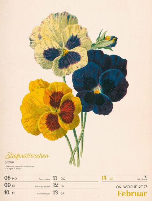 InsideView 10