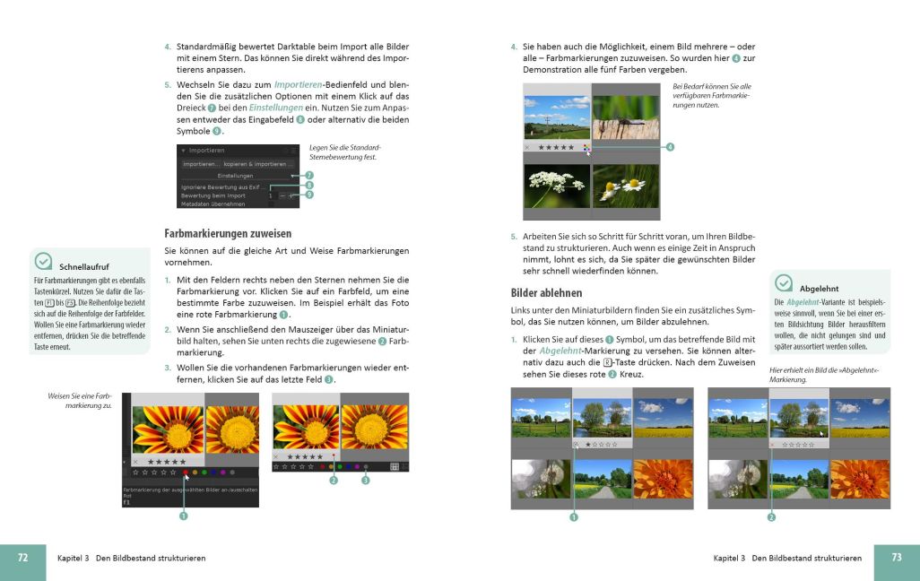 InsideView 2