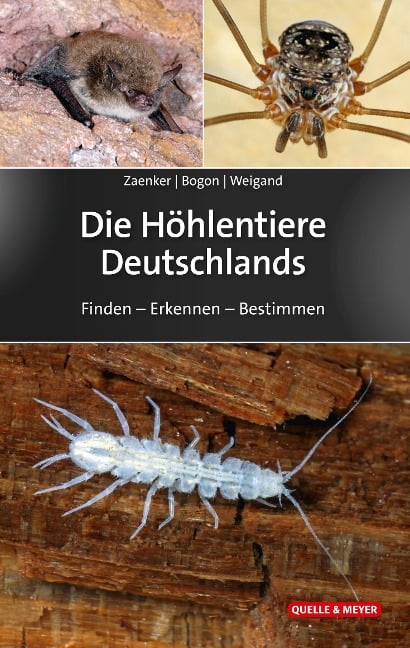 Die Höhlentiere Deutschlands - Stefan Zaenker, Klaus Bogon, Alexander Weigand