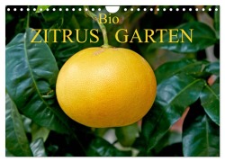 Cover-Bild zum Titel 'Bio Zitrus Garten (Wandkalender 2026 DIN A4 quer), CALVENDO Monatskalender' von 'Martin Rauchenwald'