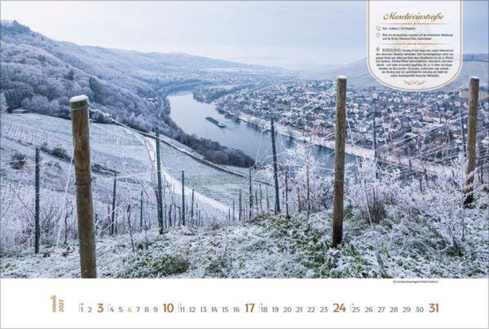 InsideView 1
