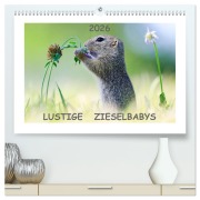 Cover-Bild zum Titel 'Lustige Zieselbabys (hochwertiger Premium Wandkalender 2026 DIN A2 quer), Kunstdruck in Hochglanz' von 'Werner Lang'