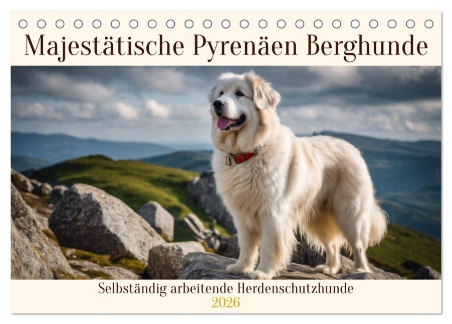Majestätische Pyrenäen Berghunde (Tischkalender 2026 DIN A5 quer), CALVENDO Monatskalender - Claudia Kleemann
