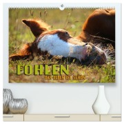 Fohlen - das Leben ist schön (hochwertiger Premium Wandkalender 2026 DIN A2 quer), Kunstdruck in Hochglanz - Renate Utz