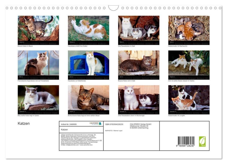 InsideView 5