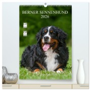 Berner Sennenhund 2026 (hochwertiger Premium Wandkalender 2026 DIN A2 hoch), Kunstdruck in Hochglanz - Sigrid Starick