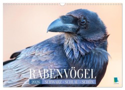 Cover-Bild zum Titel 'Rabenvögel: Schwarz, schlau, schön (Wandkalender 2026 DIN A3 quer), CALVENDO Monatskalender' von 'Calvendo Calvendo'