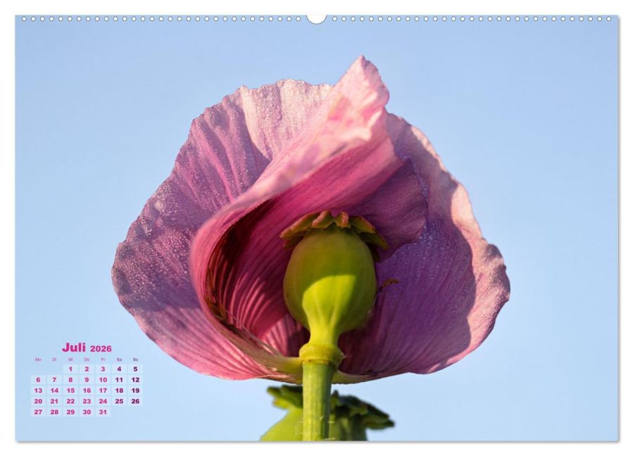 InsideView 11