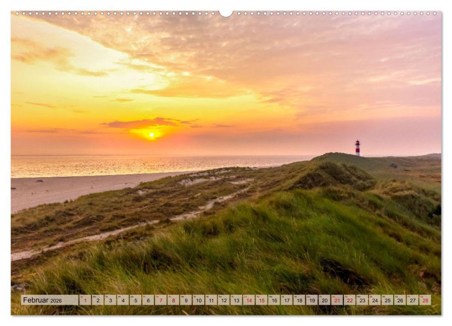 InsideView 6