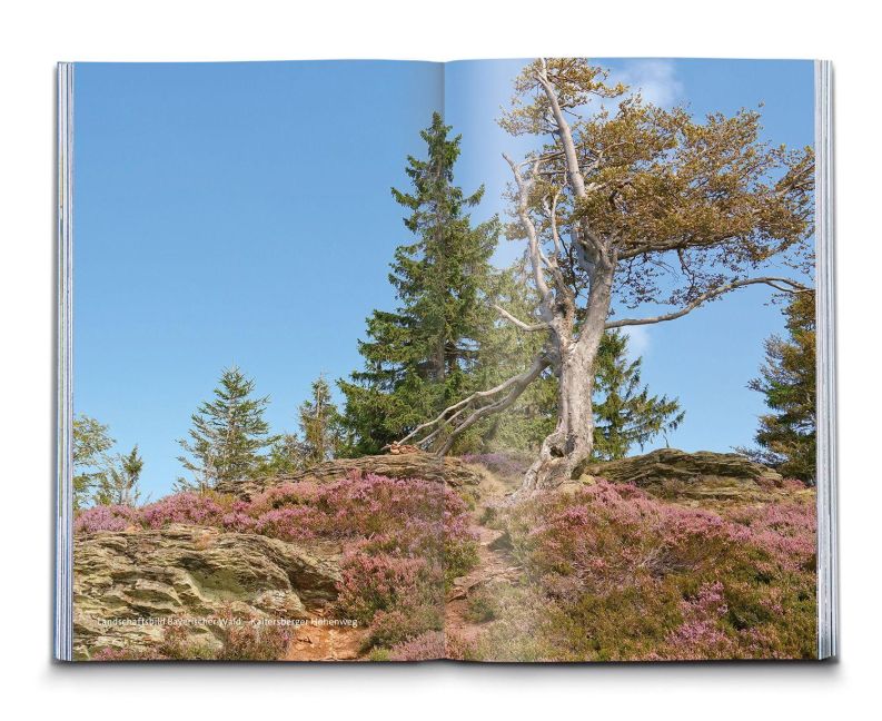 InsideView 5