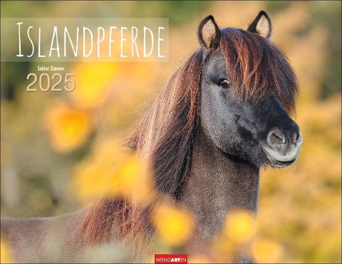 Islandpferde Kalender 2025 - 