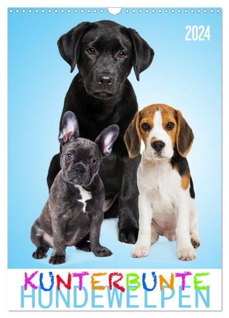 Kunterbunte Hundewelpen (Wandkalender 2024 DIN A3 hoch), CALVENDO Monatskalender - Judith Dzierzawa - DoraZett